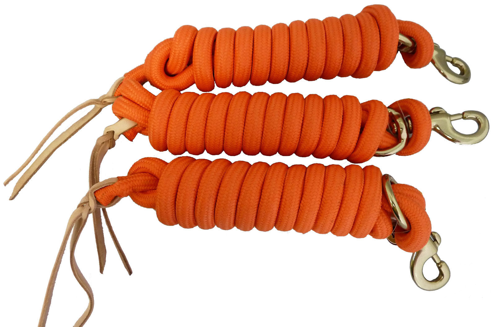 AJ Tack 9 Foot Nylon Lead Rope with Leather Popper - Set of 3