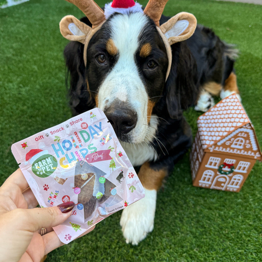 Snack Stuffers Mini Dog Treat Bags