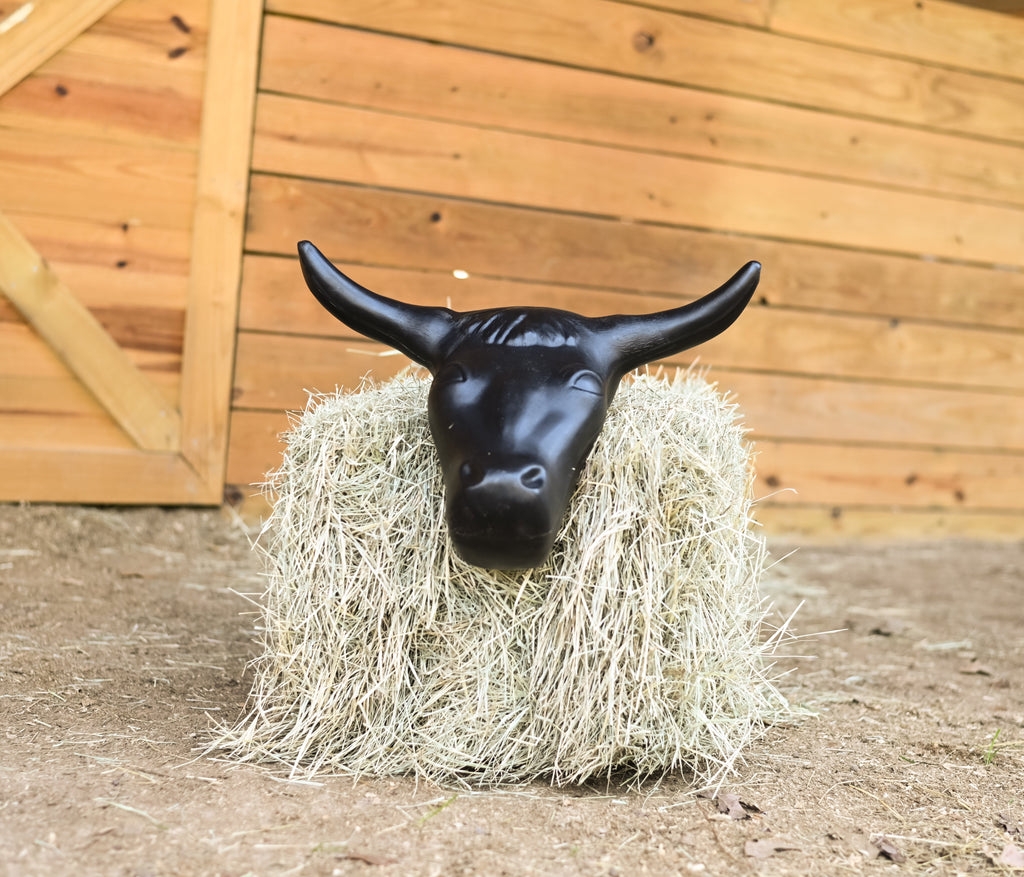 Steer Head Roping Dummy