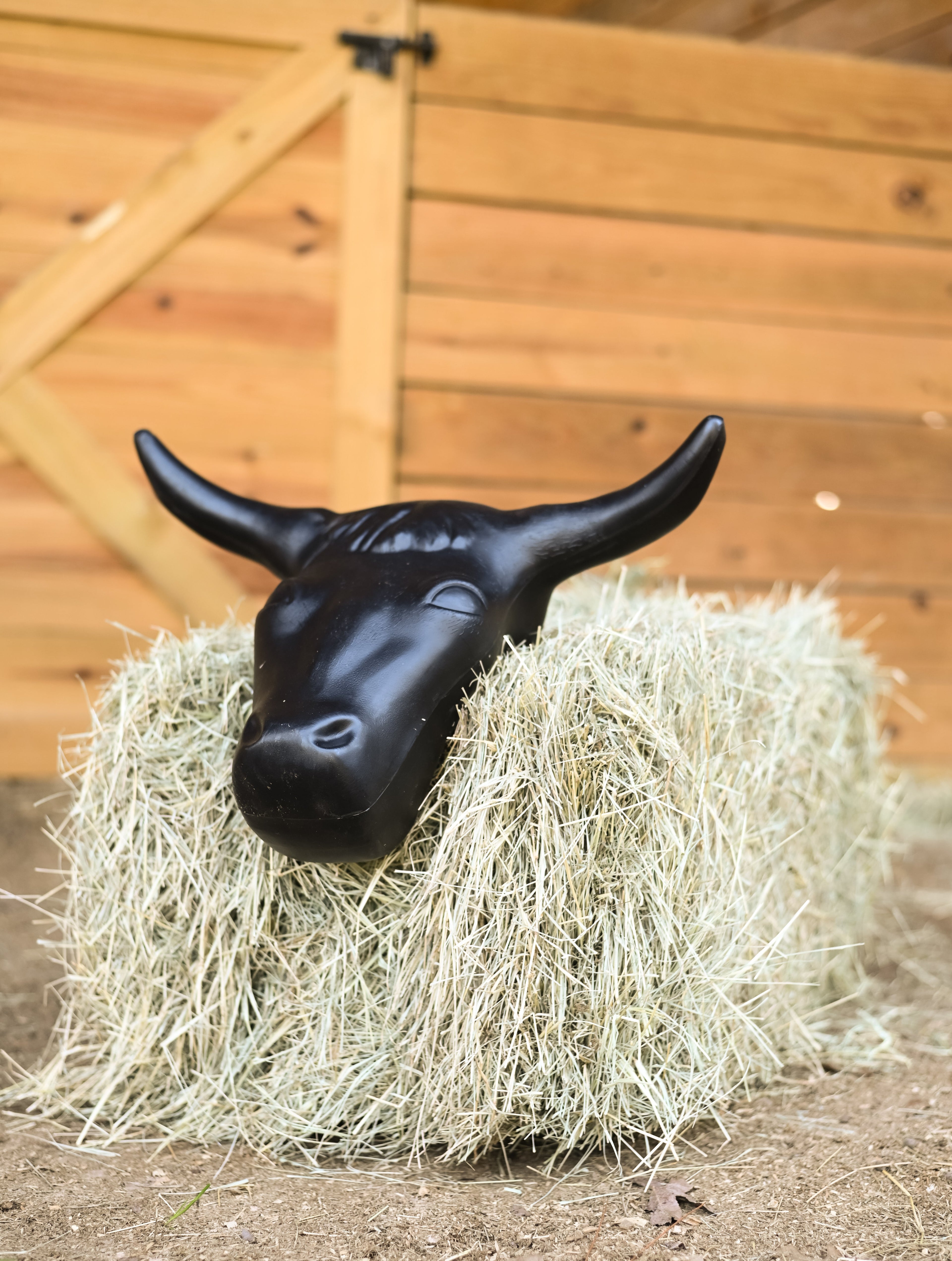 Steer Head Roping Dummy